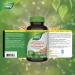 Nature's Way Astragalus Root Iummune System Support Value Size 180 Vegetarian Capsules 180 count (Pack of 1) - Buy Online on SooperMarket.com