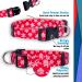 Native Pup Holiday Dog Collar - Valentine's Day, Halloween, Thanksgiving, Christmas, 4th of July, American Flag, St. Patrick's Day, Easter - Medium (Pack of 1) Christmas Snowflakes - Buy Online on SooperMarket.com
