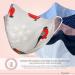 Dance Pattern Washable Cotton Face Mask for Kids & Adults - 2-Layer with Nose Bracket & Filter Bag - Oeko-Tex Standard 100 - Gray Red Birds - International Shipping Available - Buy Online on SooperMarket.com