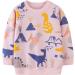 Girls Dinosaur Sweatshirt - Cotton Casual Jumper, Toddler Long Sleeve Pullover | Age 5-6 Years - Buy Online on SooperMarket.com