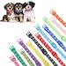 Heyu-Lotus 12-Pack Puppy Collars Paw Print Puppy Whelping Collars Quick Release Buckle Adjustable Leash Pet Safety Collars for Puppies and Cats (M) - Buy Online on SooperMarket.com
