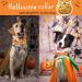 Shop Pumpkin Ghost Aring Pet Dog Collar - Adorable Halloween Collars for Boys & Girls X-Large Metal Buckle - Perfect Gifts! - Buy Online on SooperMarket.com