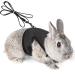 Adjustable soft rabbit dishes with elastic leash for small animal kitty pet dishes and leash for bunnies cat little pet walking (black XL (breast 34-42cm)) XL (breast 34 -42cm) Black