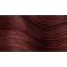 Permanent Hair Color Gel 5M Light Mahogany Chestnut - Long-lasting, Vibrant Shade - Buy Online on SooperMarket.com