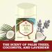 Old Spice Fiji Scent Men's Antiperspirant Deodorant 2.6 Oz Pack of 2 - Fresher Collection - Buy Online on SooperMarket.com