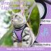 Rabbitgoo Cat Dishes Set - Stylish Cat Linen with Leash | Perfect for Cats | International Shipping - Buy Online on SooperMarket.com