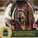 Premium Vitamin Paste for Horses | Amino Acids & Energy Booster | Muscle Regeneration & Performance | 3x30ml - Buy Online on SooperMarket.com