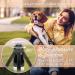 Buy Bluzelle 5m Roller Leash with Reflector Strips for Small Dogs | Ergonomic One-Hand Brake 360 Carabiner Hook Nylon Belt - Ideal for Dogs up to 20kg - Buy Online on SooperMarket.com