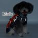 Ranphy Waterproof Dog Jacket for Medium & Large Dogs - Reflective Breathable Ultra-Light Rain Cover - Abdominal Protection for Dachshunds & Labradors (7XL 85cm Chest) - Buy Online on SooperMarket.com