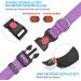 Shop Haapaw Reflective Dog Collar - Padded Neoprene & Breathable Nylon for Small Medium & Large Dogs - Purple (M 1 Pack) | International Shipping Available - Buy Online on SooperMarket.com