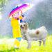 Buy Petcute XXL Waterproof Dog Raincoat - Transparent Breathable Hooded Rain Coat for Medium & Large Dogs - Buy Online on SooperMarket.com