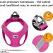 Buy Vest Harness Air-Mesh Fuchsia XL | D-Ring Buckle - International Shipping Available - Buy Online on SooperMarket.com
