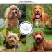 Chris Christensen Thick N Thicker Response Foaming Protein Dog Conditioner Groom Like a Professional Locks in Thickness & Adds 400x The Volume Pro-Vitamin Formula All Coat Types Made in USA 473ml - Buy Online on SooperMarket.com