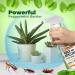 Mighty Mint 16oz Natural Peppermint Oil Spray - Cockroach Repellent - Buy Online on SooperMarket.com