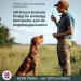 Acme Dog Whistle No.211.5 - Original from England | Loud & Effective for Dog Training | Free Instructions Included - Fuchsia - Buy Online on SooperMarket.com