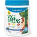 Progressive Vegegreens Blueberry Medley Flavour 530 g Anti-Inflammatory plus Liver & Digestion Support & Multivitamin for Active Men 120 Count With Ashwagandha & Siberian Ginseng - Buy Online on SooperMarket.com