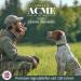 Acme Dog Whistle No.211.5 - Original from England | Loud & Effective for Dog Training | Free Instructions Included - Fuchsia - Buy Online on SooperMarket.com
