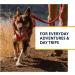Luffwear Dog Dishes with Built-in Bags | All-Day Comfort for Small Breeds | Perfect for Short Trips & Everyday Use - Red Sumac - Buy Online on SooperMarket.com