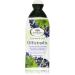 L'Angelica: "Officinalis" Shampoo Sebum - Regulating with Nettle and Myrtle 250ml - 8.45fl.oz Italian Import