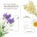 Babo Botanicals Calming 3-in-1 Cleansing Wipes with French Lavender & Meadowsweet - 30 ct - Buy Online on SooperMarket.com