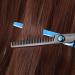 Fcysy Professional Hair Thinning Scissors Set - Blue Hairdressing Shears Kit with Comb for Barber and Hairdresser - Buy Online on SooperMarket.com