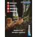 Stormsure Hiking Boot Shoes Repair Kit - Industry Boot glue PU Adhesive Waterproof Permanent Durable Flexible Transparent - Buy Online on SooperMarket.com