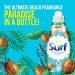 Surf Coconut Bliss Liquid Detergent 648ml - 24 Washes | 24 Count Pack - Concentrated Formula - Buy Online on SooperMarket.com