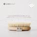 Hydrea London Natural Dry Body Brush | Exfoliating Skin Brush | Cellulite Remover | Lymphatic Drainage | FSC Certified - Buy Online on SooperMarket.com