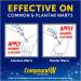 Compound W Freeze Off Remover - 8 Applications, White - 1 Count - Buy Online on SooperMarket.com
