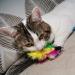 10-Piece Natural Bird Feathers Cat Toy Wand Refills - Replacement Feathers for Interactive Play - Buy Online on SooperMarket.com