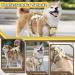 Buy Multi-Purpose Dog Harness with Leash Set - Outbreak-Proof & Anti-Train for Small to Medium Dogs (Beige M) - International Shipping Available - Buy Online on SooperMarket.com