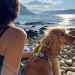 Max & Molly H-Harness - Kiwi XS | Eco-Friendly Pet Harness for All Breeds | International Shipping Available - Buy Online on SooperMarket.com