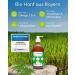 Wolfsbach Organic Hemp Oil for Dogs & Cats 500ml | Omega 3 & 6 | Cold-Pressed 100% Organic from Germany | Ideal Feed & BARF Oil - De- ko-060 - Buy Online on SooperMarket.com