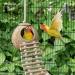 Niteangel Natural Bird Nests Coconut Hideaway with Ladder Bird and Small Animal Toy (House with Ladder Natural Surface) House with Ladder Natural Surface - Buy Online on SooperMarket.com