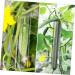 GANAZONO Cucumber Molds 4 Pcs Cucumber Fruit Shape Mold Fruit Shaping Mold Vegetable Mold Combination Modeling Accessories - Buy Online on SooperMarket.com