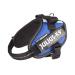 IDC Powerharness Size: XS/Mini-Mini French Colors French Colors XS/Mini-Mini