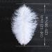 Natural White Ostrich Feathers 10-12inch - Pack of 12 for Wedding & Party Centerpieces - Easter Carnival Decor & Flower Arrangement - Home Decorations - White Feathers - Buy Online on SooperMarket.com