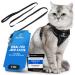 Blue Pawz cat dishes with a leash - 170cm |Cat dishes breakout and high quality |Cat lines with dishes for cats |Cats dishes for unforgettable moments (s) black black s
