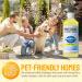 AQUAFORCE Pet Odour Eliminator Spray Strong Enzyme Odour Bacteria Eating Deodoriser & Dog Urine Neutraliser | Pet Odour Remover | Smells from Carpet Upholstery - Buy Online on SooperMarket.com