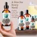 Organic Moringa Seed Oil - Bella Terra Oils | Cold-Pressed Facial Elixir | 2 oz | High in Vitamins A C & E for Radiant Beauty - Buy Online on SooperMarket.com