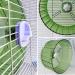 Hamster Wheel Silent Hamster Wheel Quiet Hamster Wheel Hamster Exercise Wheel Adjustable Stand Silent Hamster Wheel for Hamsters Gerbils Mice Small Animals ( 6.7 inch Transparent) 6.7 inch Transparent - Buy Online on SooperMarket.com