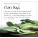 Nikura Clary Sage Essential Oil 10ml - 100% Pure Natural Oil for Aromatherapy - Self Care Stress Relief and Calming - Vegan & UK Made - Buy Online on SooperMarket.com