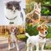 DARENYI 4 Pcs Dog Cat Collar Bells Pet Tracker Brass Bell Dog Tracker Metal Bells Small Bells for Pet Collars Anti-Lost Training Bells - Buy Online on SooperMarket.com