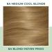 Clairol Natural Instincts 8A Medium Cool Blonde Demi-Permanent Hair Dye - 5.85 Fl Oz - Buy Online on SooperMarket.com