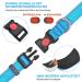Haapaw Reflective Dog Collar - Soft Neoprene & Breathable Nylon for Small to Medium Dogs - Blue Size S (1-Pack) - International Shipping Available - Buy Online on SooperMarket.com
