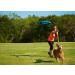 Chuckit! Rugged Flyer Dog Toy - Durable Frisbee for Throw, Fetch, and Tug of War - Buy Online on SooperMarket.com