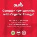 GURU | Original Plant-Based Energy Drink | Recharge with Good Energy from Green Tea | Natural & Organic Ingredients | Healthy Energy drinks to Help Stay Focused | Refreshing Taste | 8.4oz (Pack of 24) - Buy Online on SooperMarket.com