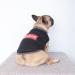 iChoue Quick Dry Cooling Shirt for French Bulldog & English Pug - Large Grey/Black - Buy Online on SooperMarket.com