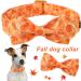 Buy Aring Pet Autumn Dog Hales Band - Adjustable Yellow Cotton Dog Collar with Bow & Autumn Leaves Design - Medium Size - Buy Online on SooperMarket.com
