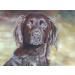 Clairefontaine PastelMat Paper Pack 5 Sheets - 24x32 cm Dark Grey - Buy Online on SooperMarket.com